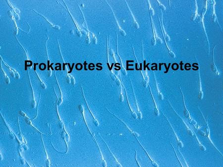 Prokaryotes vs Eukaryotes