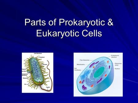 Parts of Prokaryotic & Eukaryotic Cells