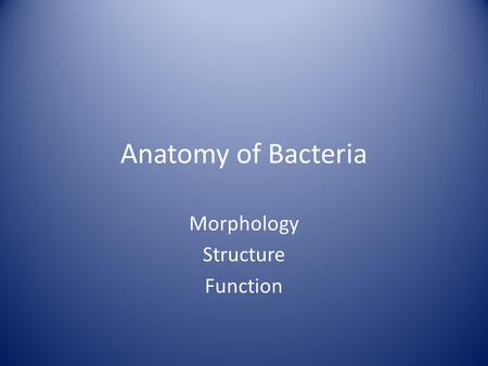 Morphology Structure Function