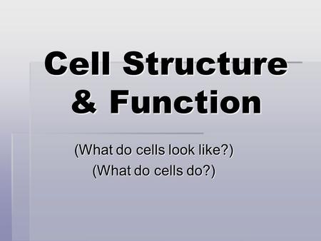 Cell Structure & Function