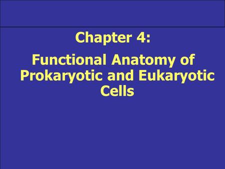 Functional Anatomy of Prokaryotic and Eukaryotic Cells