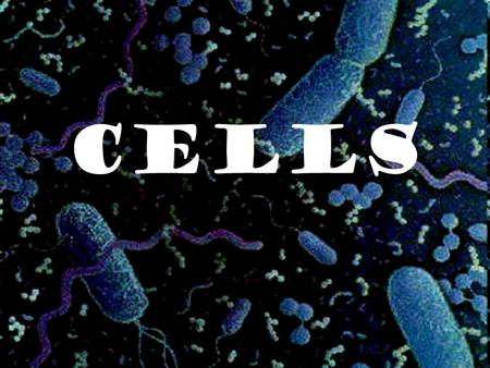 Cells. Warm Up Activity On page in your journal write down how many cells you have in your body. The average human person’s body is composed of around.