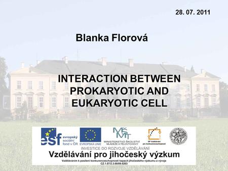 Blanka Florová 28. 07. 2011 INTERACTION BETWEEN PROKARYOTIC AND EUKARYOTIC CELL.