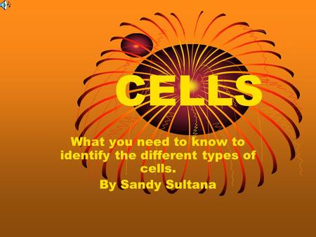 CELLS What you need to know to identify the different types of cells. By Sandy Sultana.