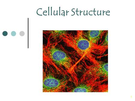 1 Cellular Structure. 2 Objectives/Warm-Up SWBAT: State the similarities and differences in prokaryotic and eukaryotic cells.