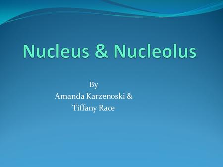 By Amanda Karzenoski & Tiffany Race. Found in plant and animal cells Sets Eukaryotic cells apart from prokaryotic cells Largest & most easily seen organelle.