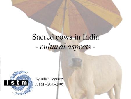 Sacred cows in India - cultural aspects - By Julien Teyssier ISTM – 2005-2006.