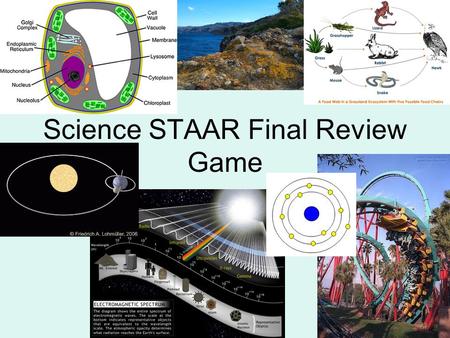 Science STAAR Final Review Game. A science teacher asked students to classify the organism shown in the picture below. The organism pictured above could.