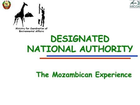 Ministry for Coordination of Environmental Affairs DESIGNATED NATIONAL AUTHORITY The Mozambican Experience.