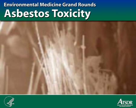 Learning Objectives What is asbestos? Most important route of exposure Populations most heavily exposed Diseases associated with asbestos exposure Common.