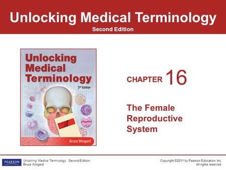 The Female Reproductive System