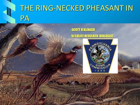 THE RING-NECKED PHEASANT IN PA b SCOTT R KLINGER b WILDLIFE RESEARCH BIOLOGIST.