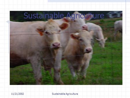 11/21/2002Sustainable Agriculture. 11/21/2002Sustainable Agriculture Impacts of Sprawl -NRI 87-92 vs. 92-97 Conversions up from  1.2 Million Acres per.