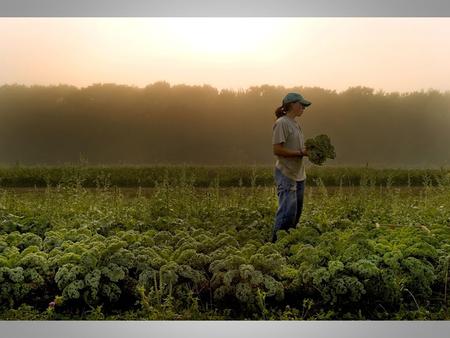 Maine Farmland Trust Slow Money Update MFT Mission Protect Farmland Support Farmers Advance Farming.