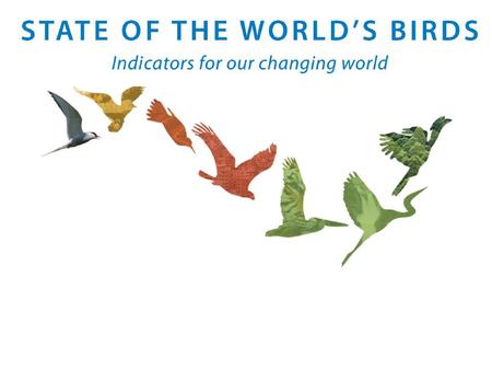 Why bother about birds? Bird numbers are declining around the globe, and getting worse. Luckily, we know it costs relatively little to save and protect.