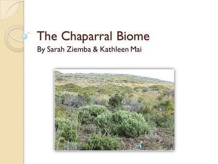 The Chaparral Biome By Sarah Ziemba & Kathleen Mai.