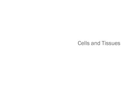 Cells and Tissues. Protein Synthesis Gene—DNA segment that carries a blueprint for building one protein Proteins have many functions Building materials.