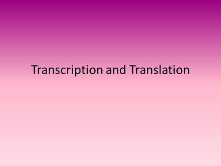 Transcription and Translation