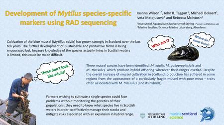 Cultivation of the blue mussel (Mytillus edulis) has grown strongly in Scotland over the last ten years. The further development of sustainable and productive.