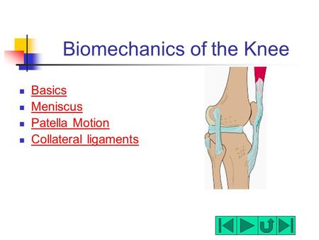 Biomechanics of the Knee