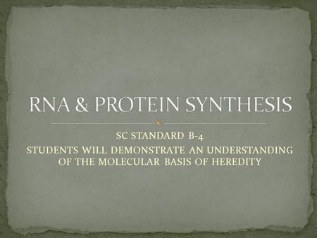 SC STANDARD B-4 STUDENTS WILL DEMONSTRATE AN UNDERSTANDING OF THE MOLECULAR BASIS OF HEREDITY.