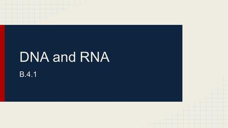 DNA and RNA B.4.1. Nucleic acids there are two types -DNA- deoxyribose nucleic acids -RNA - ribose nucleic acids both are made of nucleotides that are.