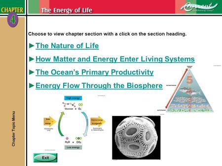 How Matter and Energy Enter Living Systems