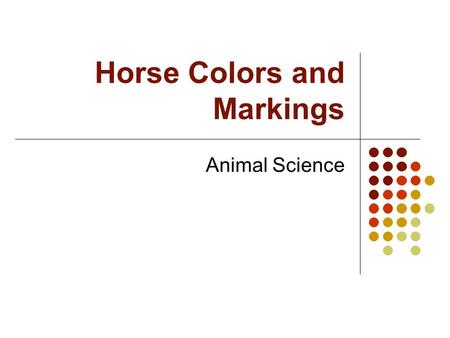 Horse Colors and Markings