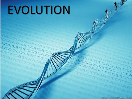 EVOLUTION EVOLUTION. It is a two step process: 1.The production of variation in a population New phenotypes defined by new genotypes 2. Non-random aspects.