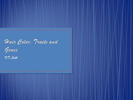 KT Leitl. Genes in hair color aren’t fully established. Theory – At least two gene pairs control human hair color Two pigments for hair color: Eumelanin.