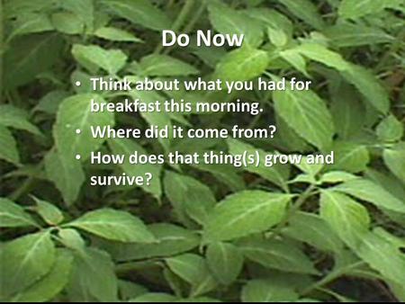 Do Now Think about what you had for breakfast this morning. Think about what you had for breakfast this morning. Where did it come from? Where did it come.