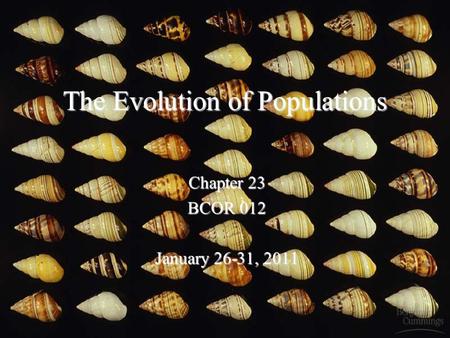 The Evolution of Populations Chapter 23 BCOR 012 January 26-31, 2011.