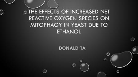 THE EFFECTS OF INCREASED NET REACTIVE OXYGEN SPECIES ON MITOPHAGY IN YEAST DUE TO ETHANOL DONALD TA.