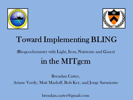 Toward Implementing BLING (Biogeochemistry with Light, Iron, Nutrients and Gases) in the MITgcm Brendan Carter, Ariane Verdy, Matt Mazloff, Bob Key, and.