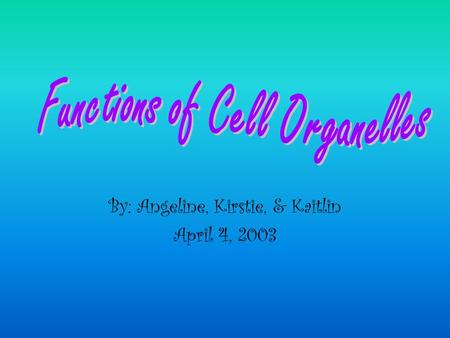 By: Angeline, Kirstie, & Kaitlin April 4, 2003 Just as the cell wall of a plant protects the cell, the Great Wall of China protects the Chinese.