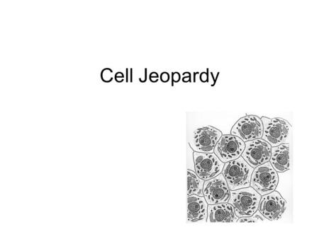 Cell Jeopardy. $10 Microscopes What is the magnification of a 10X eyepiece and a 40X objective? Who first coined the word “cells?” ANSWER: 400 X Hooke.