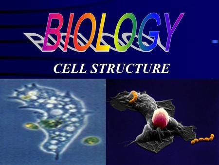 CELL STRUCTURE. A Liver cell Liver cell TEM x9400.