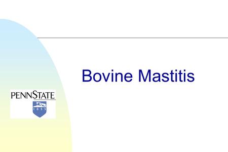 Bovine Mastitis.