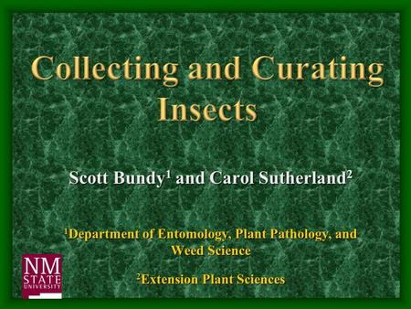 Scott Bundy 1 and Carol Sutherland 2 1 Department of Entomology, Plant Pathology, and Weed Science 2 Extension Plant Sciences.