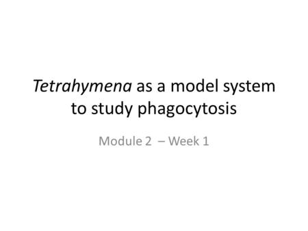 Tetrahymena as a model system to study phagocytosis