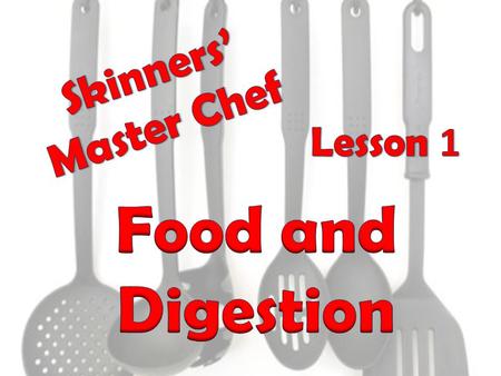 Lesson Objectives 1.Name the food groups and parts of the digestive system 2.Identify sources of food 3.Explain uses of each food group 4.Design a healthy.