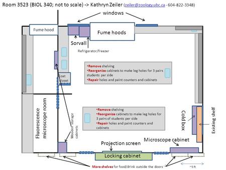 Remove shelving Reorganize cabinets to make leg holes for 3 pairs of students per side Repair holes and paint counters and cabinets Remove shelving Reorganize.