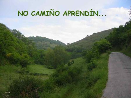 NO CAMIÑO APRENDÍN... Nin acostumarse é amar! Que chegar alto non é medrar. Que mirar non sempre é ver. Nin que escoitar é oír. Nin lamentarse é sentir.