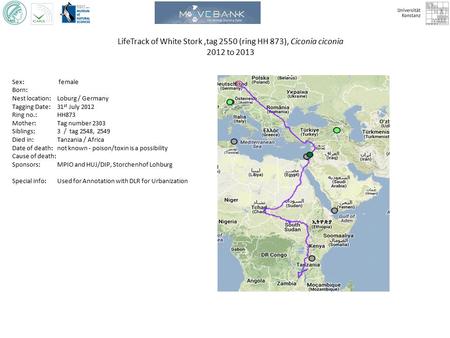 LifeTrack of White Stork,tag 2550 (ring HH 873), Ciconia ciconia 2012 to 2013 Sex: female Born: Nest location: Loburg / Germany Tagging Date: 31 st July.