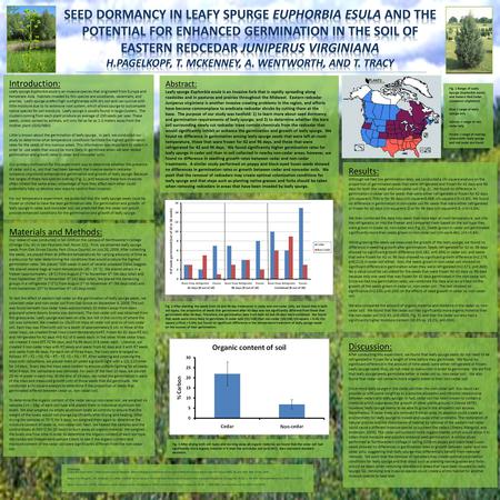 Abstract: Leafy spurge Euphorbia esula is an invasive forb that is rapidly spreading along roadsides and in pastures and prairies throughout the Midwest.