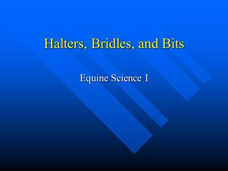 Halters, Bridles, and Bits