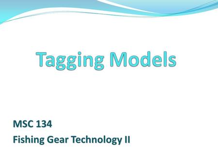 MSC 134 Fishing Gear Technology II. “Fish tagging programs are a vital part of a fishery manager’s tools for assessing fish populations. Conducted properly,