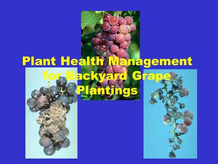 Plant Health Management for Backyard Grape Plantings