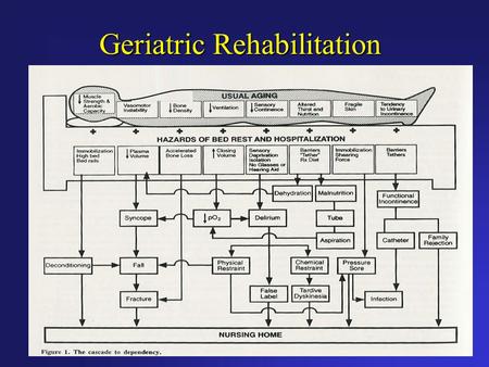 Geriatric Rehabilitation. What would be the most appropriate assistive device? 78 y/o F S/P (L) TKA w/ severe RA of hands, shoulders, knees A.Large based.