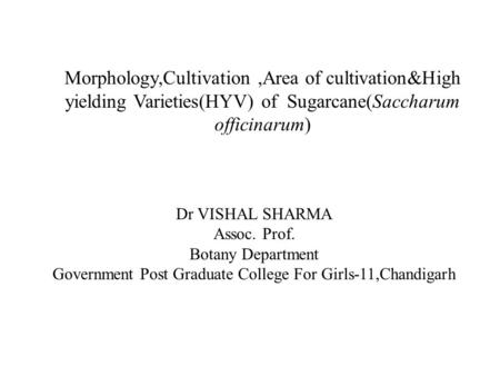 Morphology,Cultivation,Area of cultivation&High yielding Varieties(HYV) of Sugarcane(Saccharum officinarum) Dr VISHAL SHARMA Assoc. Prof. Botany Department.